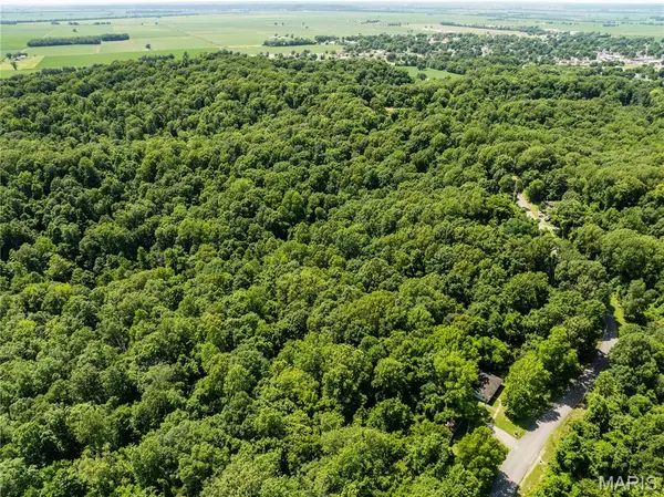 2329 County Highway 227, Chaffee, MO 63740