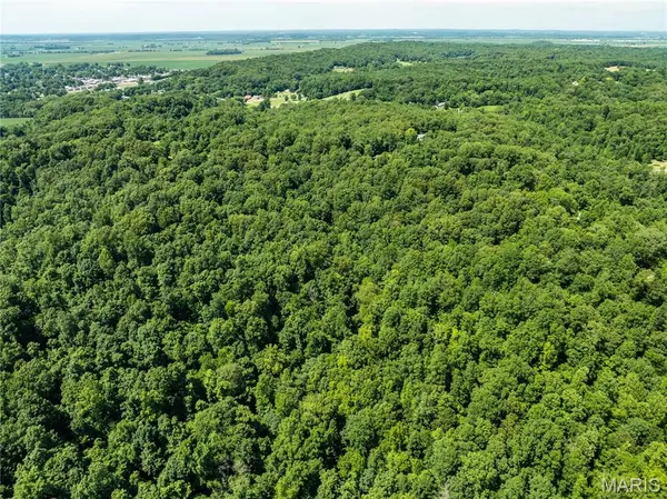 2329 County Highway 227, Chaffee, MO 63740
