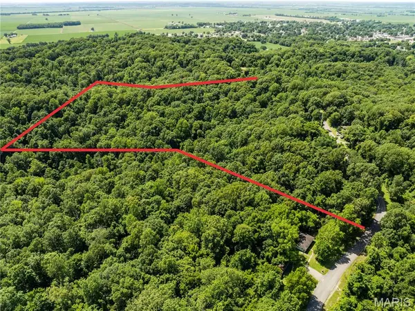 2329 County Highway 227, Chaffee, MO 63740