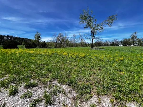 1009 Legacy LN, Perryville, MO 63775