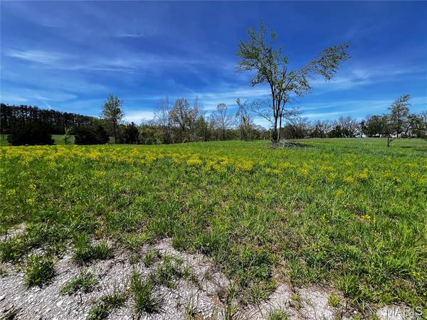 1009 Legacy LN, Perryville, MO 63775