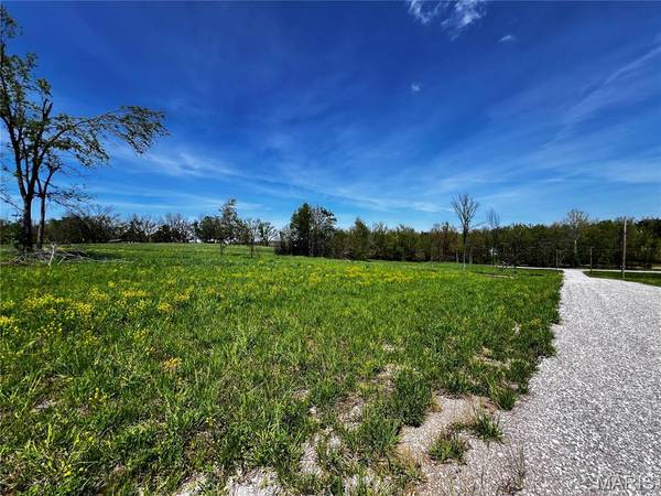 1009 Legacy LN, Perryville, MO 63775