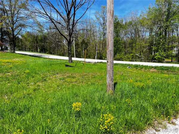 1001 Legacy LN, Perryville, MO 63775