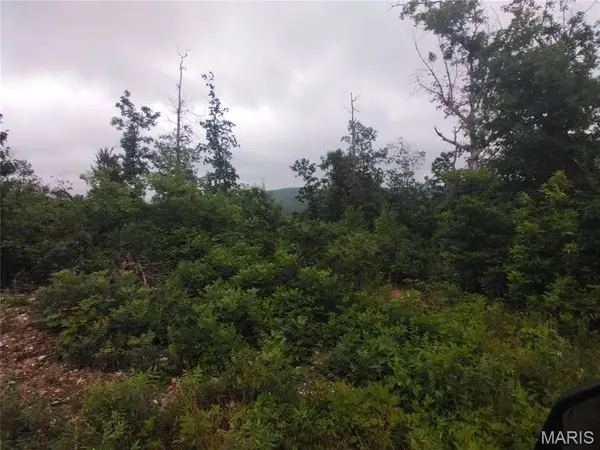 Tract 4 Off Highway O, Belleview, MO 63623