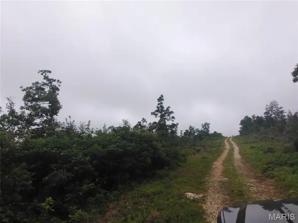 3 Tract 3 Off Highway O, Belleview, MO 63623