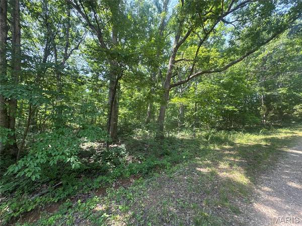 0 Rue Irene, Bonne Terre, MO 63628