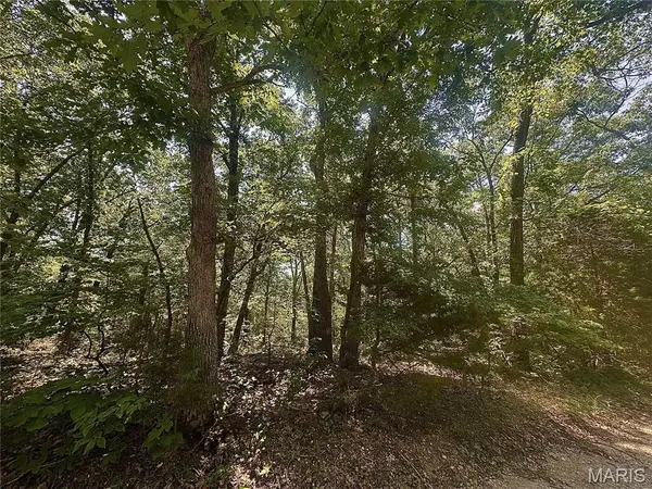0 Estates LN, Bonne Terre, MO 63628