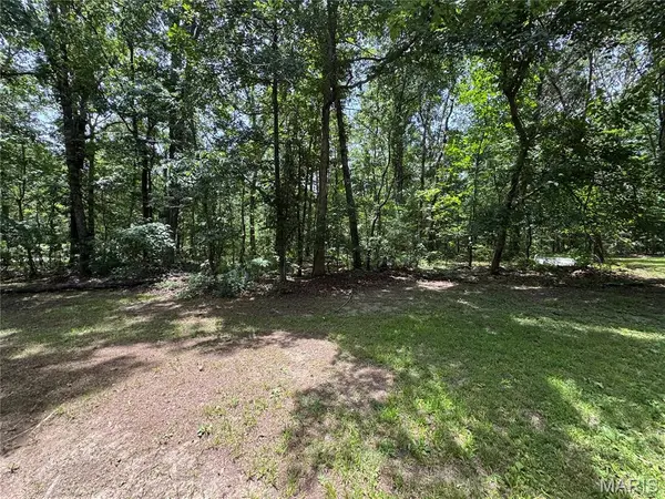 43 Wayne County Road 512B, Wappapello, MO 63966