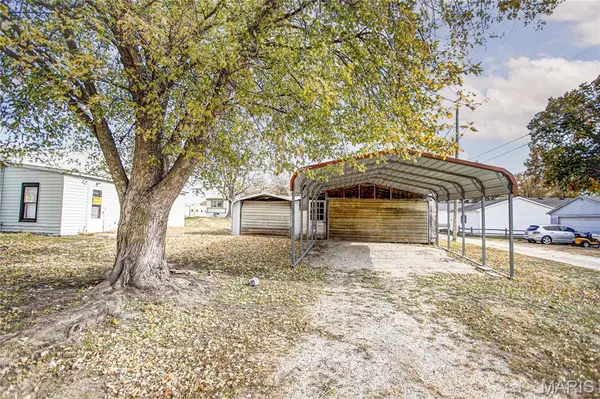 338 W Rowe ST, Roodhouse, IL 62082