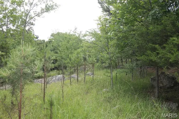 3751 CR 1313 County Road 1313 (Crane Lake Road), Arcadia, MO 63621
