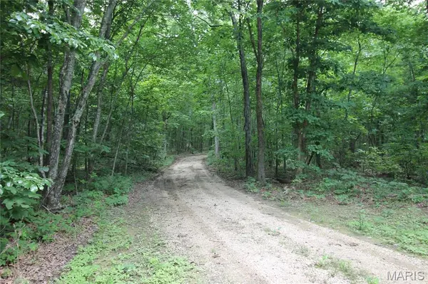 3751 CR 1313 County Road 1313 (Crane Lake Road), Arcadia, MO 63621