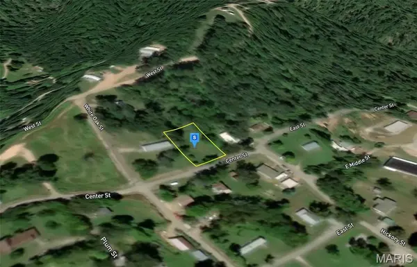 601 Center ST, Williamsville, MO 63967