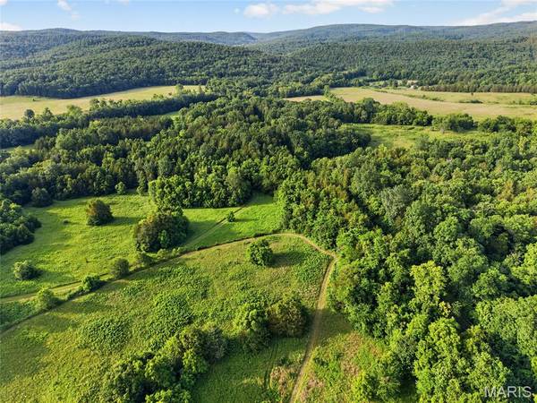 21530 Highway 49, Black, MO 63625