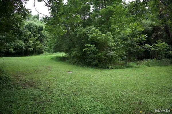 482 E Davidson, Chaffee, MO 63740