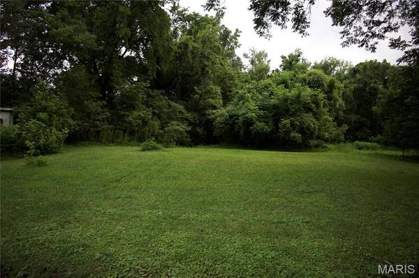 482 E Davidson, Chaffee, MO 63740