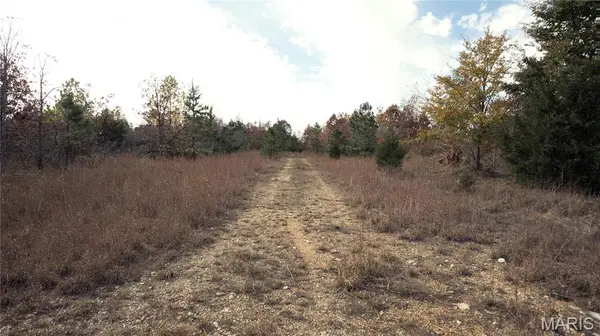 0 Highway 49 #Tract 1-13, Piedmont, MO 63957