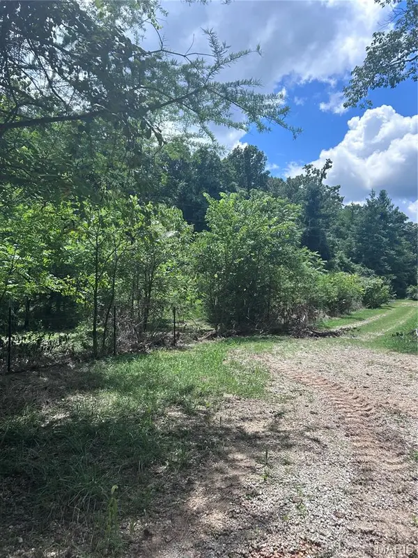 99 Arlie Barr RD, Viburnum, MO 65566