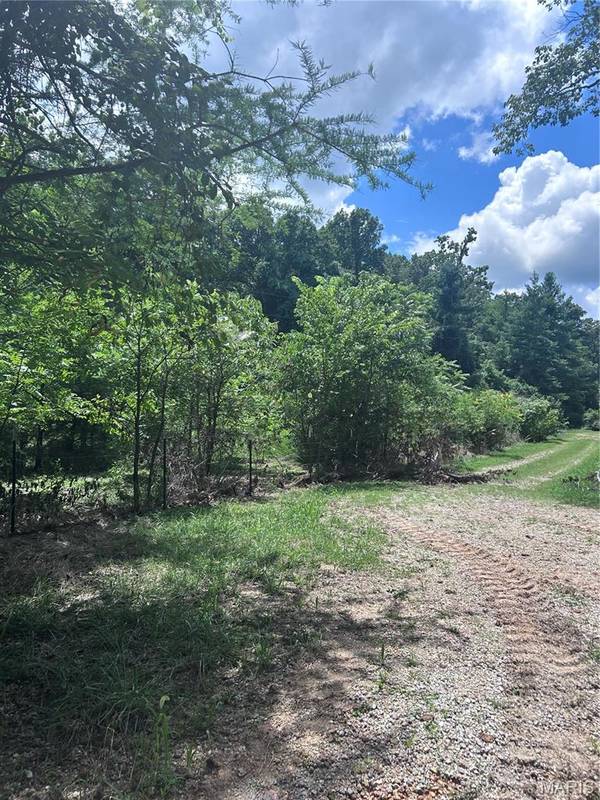 99 Arlie Barr RD, Viburnum, MO 65566