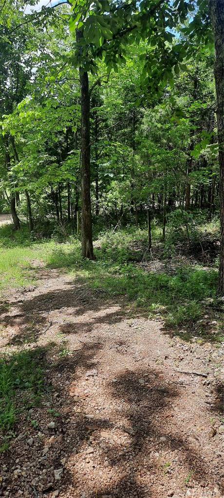 99 Arlie Barr RD, Viburnum, MO 65566