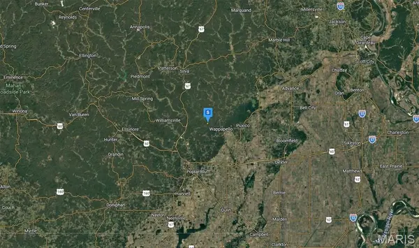 1100 Wayne 551 RD, Williamsville, MO 63967