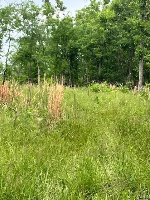 247 Madison CR 410, Fredericktown, MO 63645