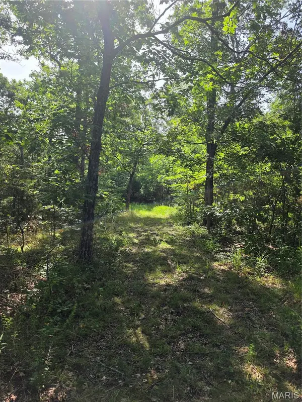 11526 Highway 5, Grovespring, MO 65662