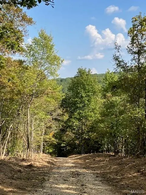 21 Church Road (CR 114), Annapolis, MO 63620