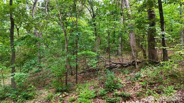9576 Bent Tree DR, Hillsboro, MO 63050