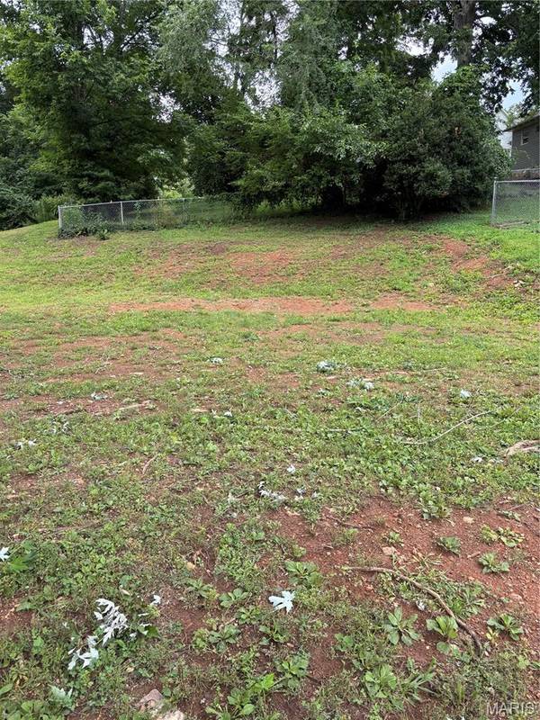 315 Iris ST, Piedmont, MO 63957