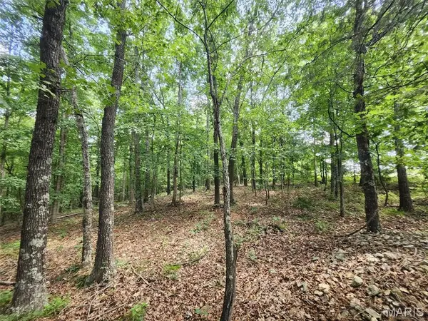 0 M- Blackberry DR, Summersville, MO 65571