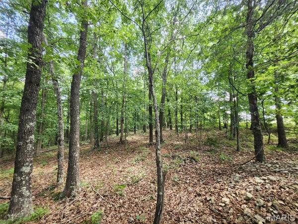 0 M- Blackberry DR, Summersville, MO 65571