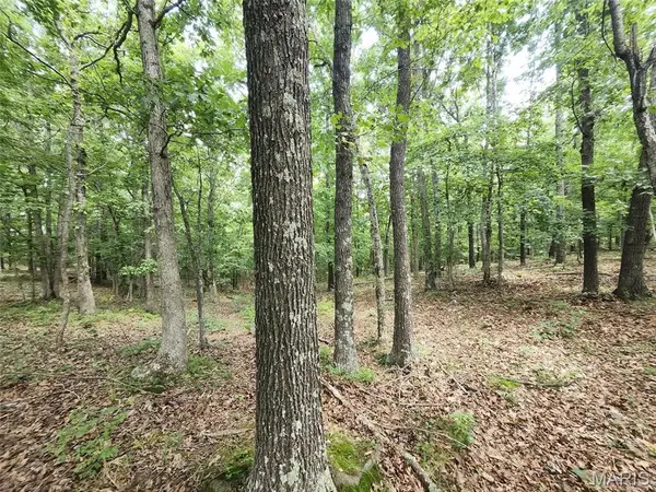 00 M- Blackberry DR, Summersville, MO 65571