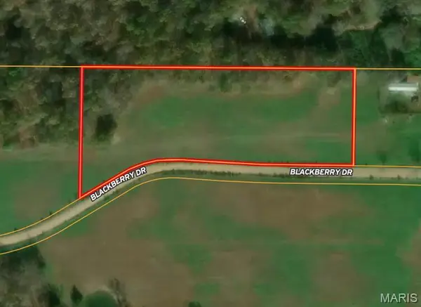 00 M- Blackberry DR, Summersville, MO 65571