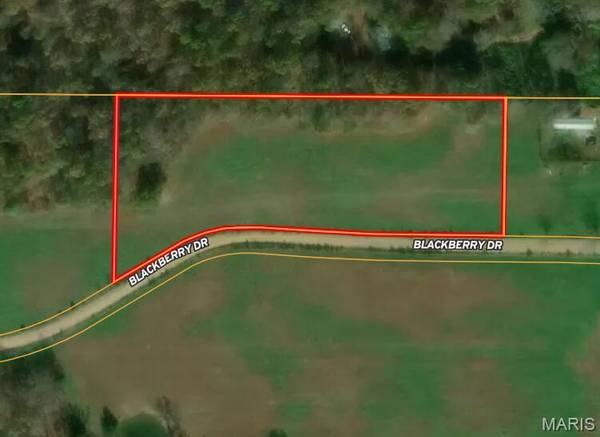 00 M- Blackberry DR, Summersville, MO 65571