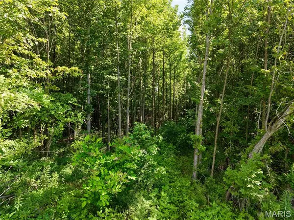 631 County Road 614, Broseley, MO 63932