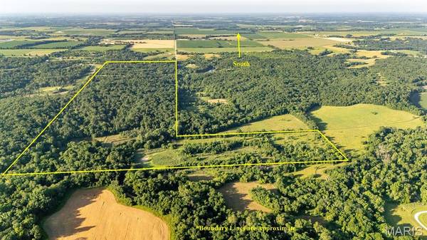 53499 Freedom LN, Forest Springs, MO 63446