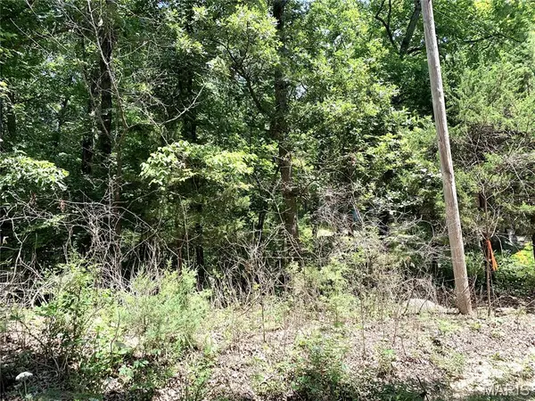 0 Magnolia Blossom DR, New Haven, MO 63068