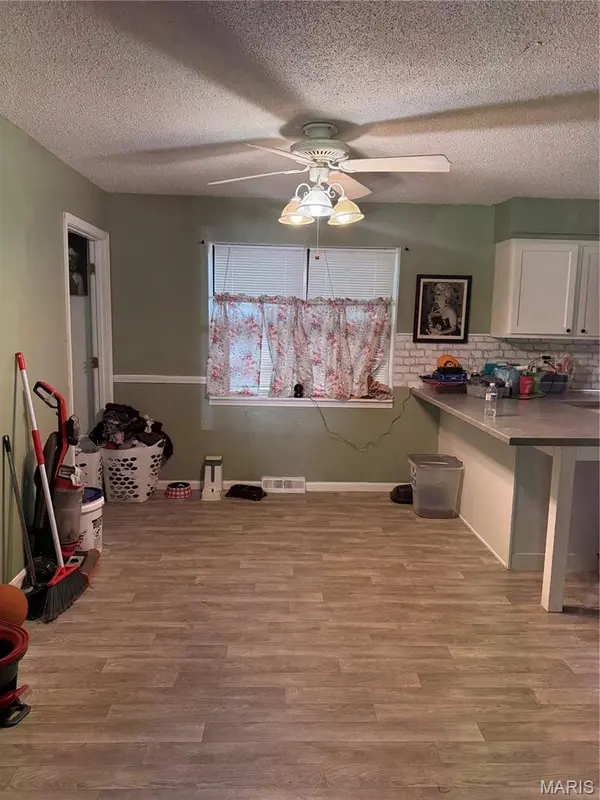 602 N Louise AVE, St James, MO 65559