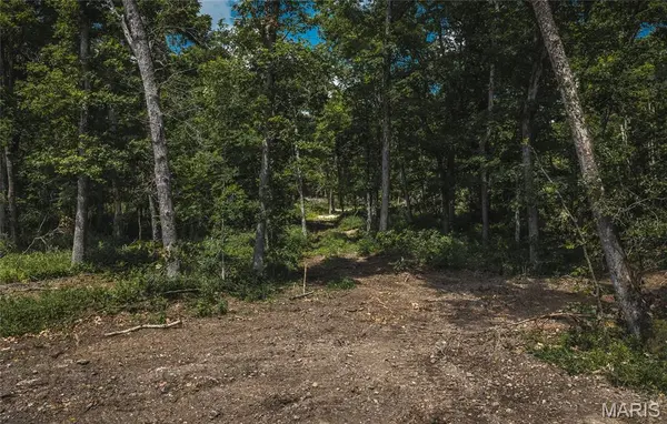 TBD Geronimo Springs Road-Tract 3, Macks Creek, MO 65786