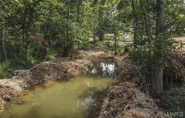 TBD Geronimo Springs Road-Tract 4, Macks Creek, MO 65786