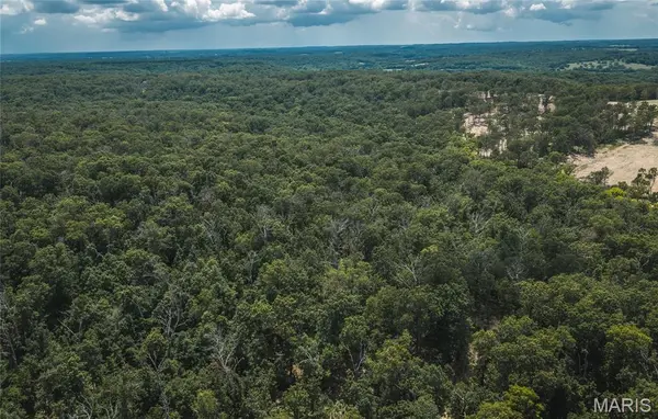 TBD Geronimo Springs Road-Tract 4, Macks Creek, MO 65786
