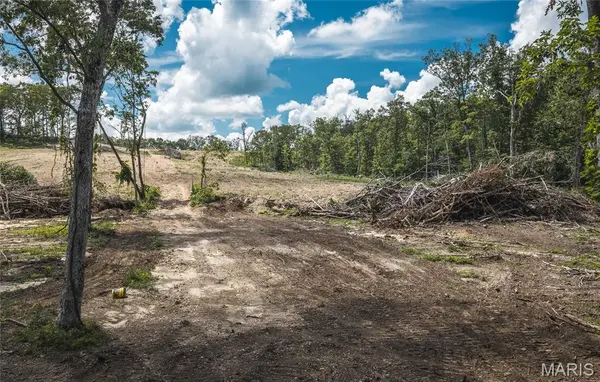 TBD Geronimo Springs Road-Tract 4, Macks Creek, MO 65786