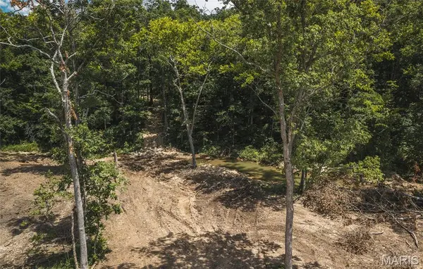 TBD Geronimo Springs Road-Tract 4, Macks Creek, MO 65786