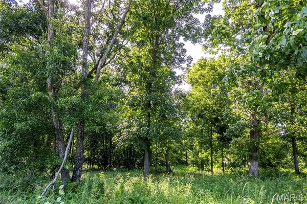00 Highway 154, Stoutsville, MO 65283
