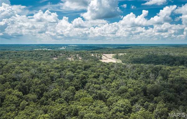 TBD Geronimo Springs Road-Tract 5, Macks Creek, MO 65786