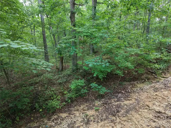 404 Saturn LN, Lonedell, MO 63060