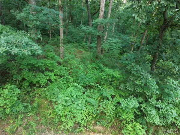 404 Saturn LN, Lonedell, MO 63060