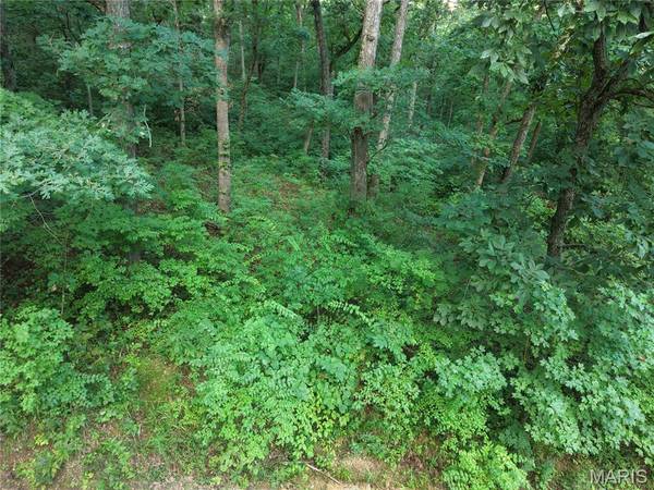 404 Saturn LN, Lonedell, MO 63060