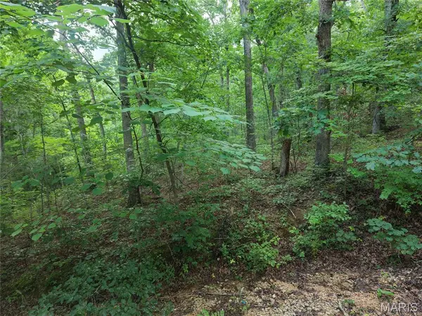 404 Saturn LN, Lonedell, MO 63060