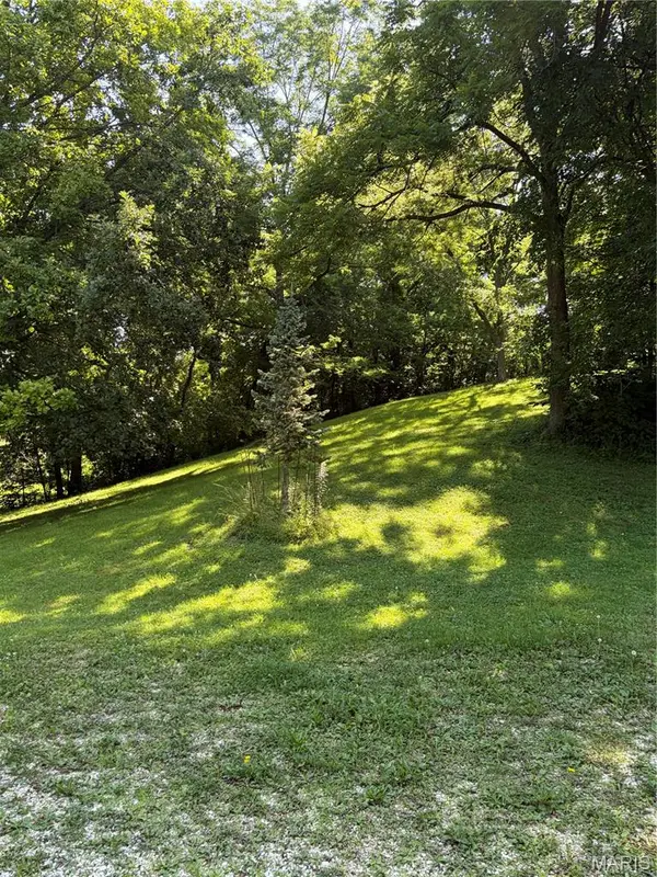 8773 Highway 79, Louisiana, MO 63353